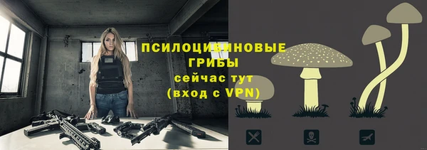 тгк Баксан