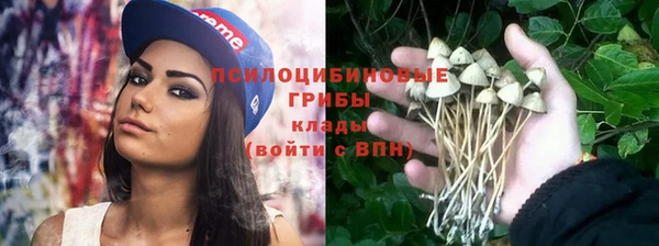 тгк Баксан