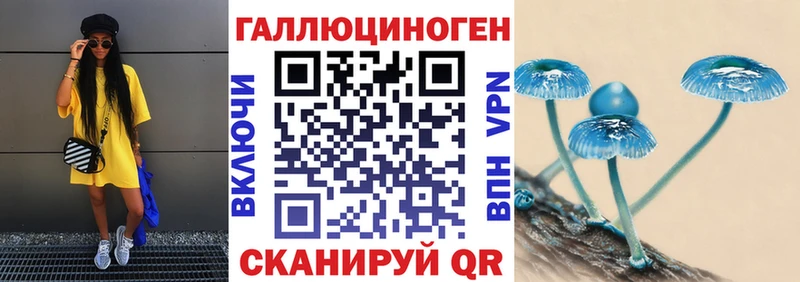 площадка состав  Каспийск  Псилоцибиновые грибы MAGIC MUSHROOMS 